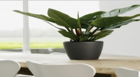 德國進口高檔蕾秀花盆經典矮胖圓型