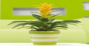 德國進口高檔陶瓷花盆雪瑞奇800系列花盆