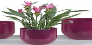 德國進口高檔陶瓷花盆雪瑞奇820系列花盆