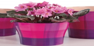 德國進口高檔套盆陶瓷花盆雪瑞奇808系列花盆