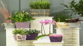 虹越德國進(jìn)口高檔陶制套盆SK厄瓜多爾系列花盆