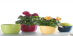 德國進(jìn)口高檔陶制套盆SK巴塞爾啞光14/13花盆